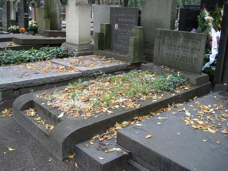 Zdjęcie grobu: Jerzy Wokulski