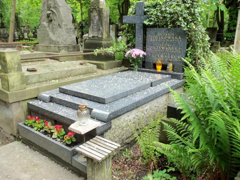 Zdjęcie grobu Leon Przywarski (1)