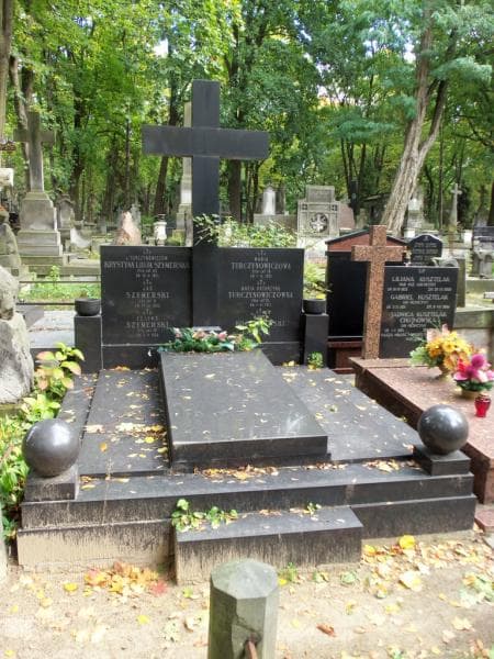 Zdjęcie grobu: Witold Koczorowski