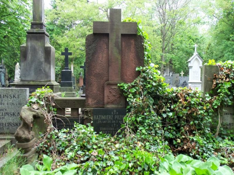Zdjęcie grobu Kazimierz Przybylski (2)