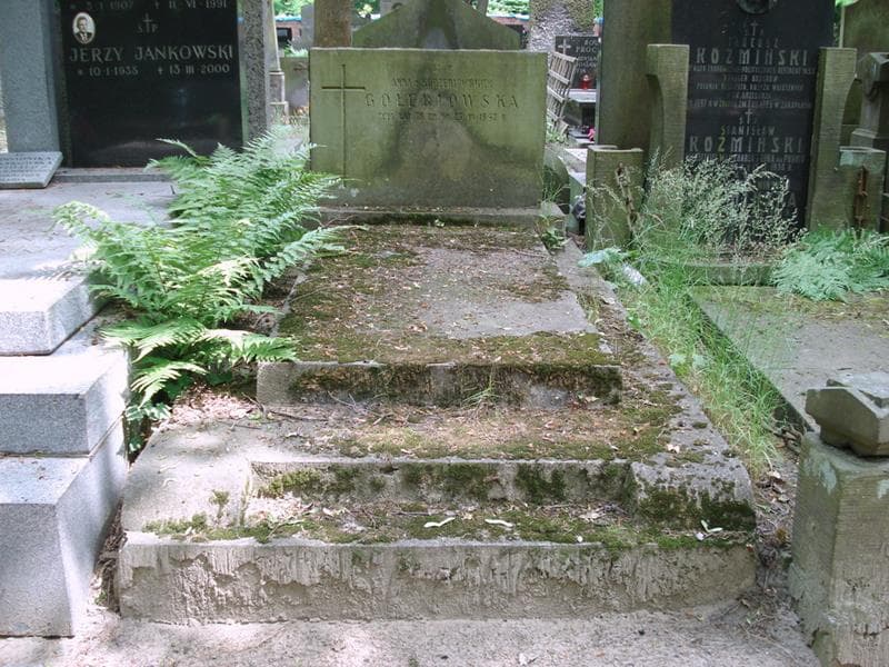 Zdjęcie grobu Anna Gołębiowska (1)