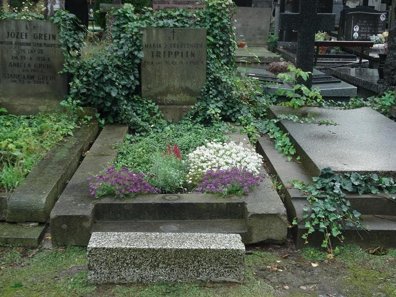 Zdjęcie grobu: Maria Tripplin