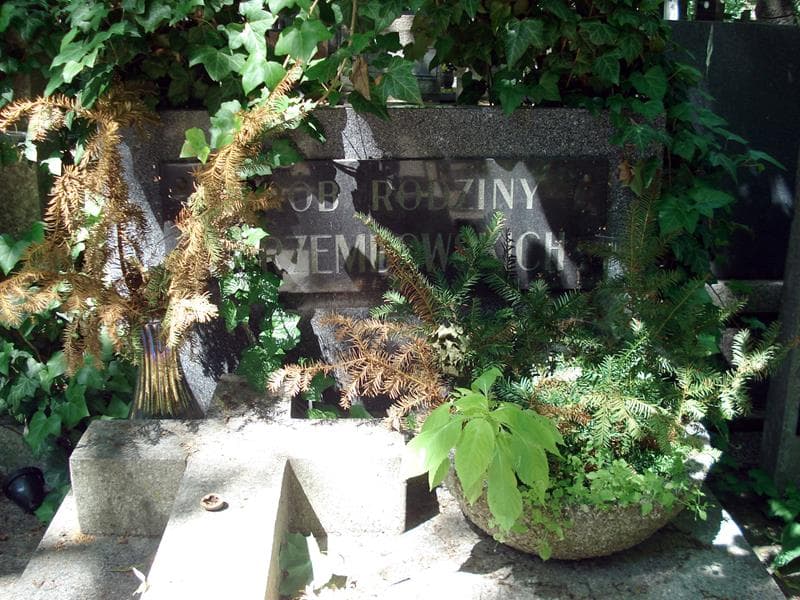 Zdjęcie grobu Teresa Jarzembowska (1)