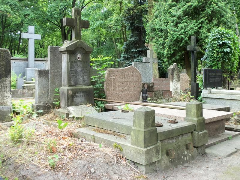 Zdjęcie grobu Anna Hermanowa (1)