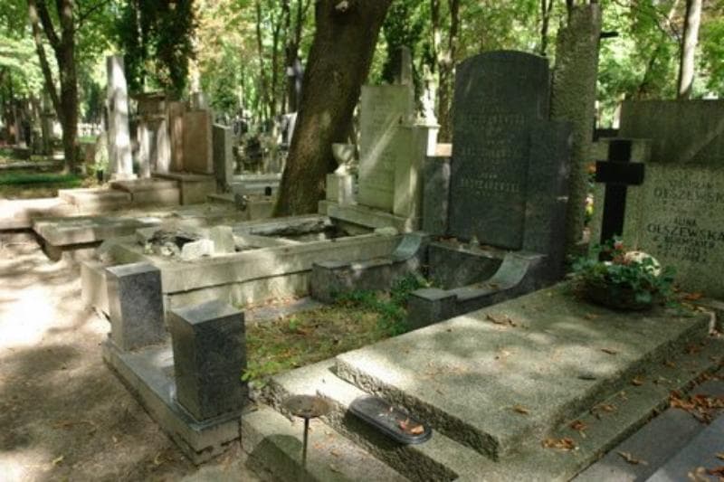 Zdjęcie grobu Adam Krzyżanowski (1)