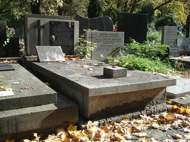 Zdjęcie grobu Maria Dobrzańska (1)