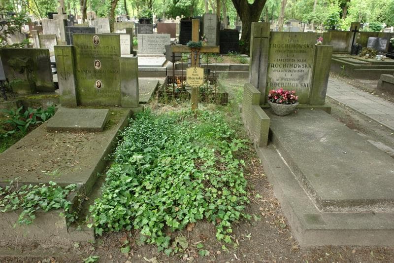 Zdjęcie grobu Maria Olszyńska (1)