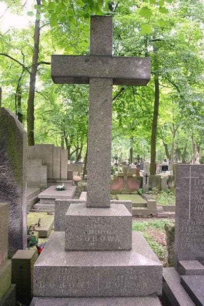 Zdjęcie grobu Zygmunt Borowy (2)
