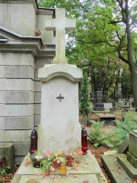 Zdjęcie grobu Edmund Teodor Borkowski (2)