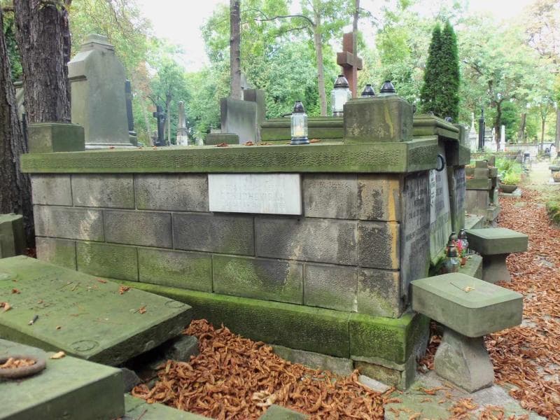 Zdjęcie grobu Józefa Strzeszewska (1)
