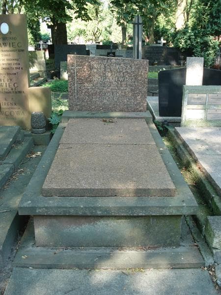 Zdjęcie grobu Aleksander Wąsowski (1)
