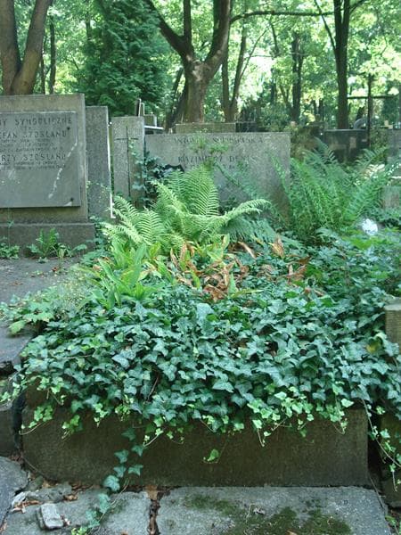 Zdjęcie grobu: Kazimierz Denis