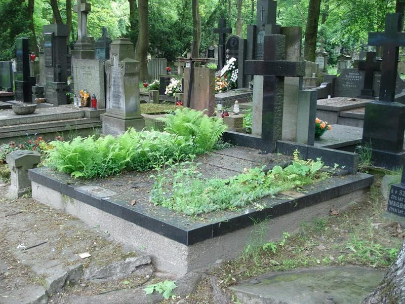 Zdjęcie grobu: Janina Drabik
