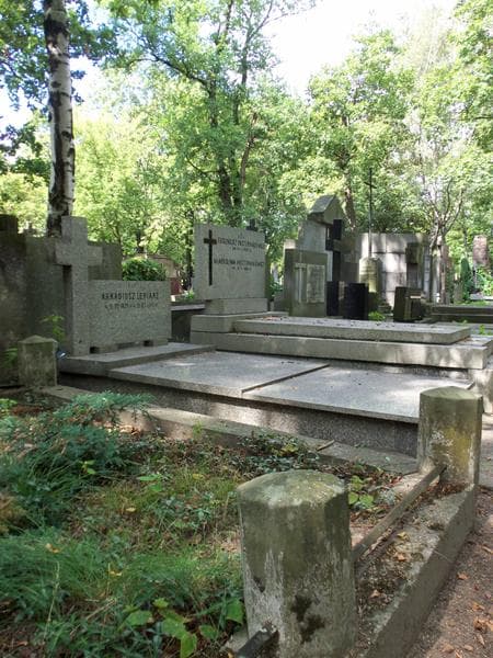 Zdjęcie grobu Arkadiusz Lepiarz (1)