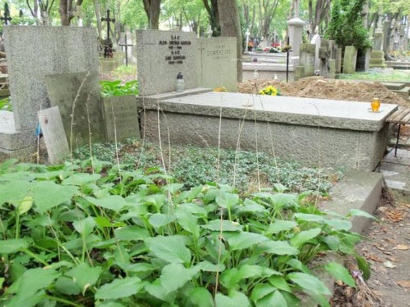 Zdjęcie grobu Stanisława Donicowa (1)