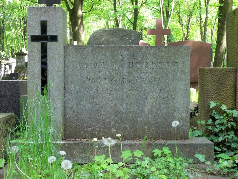 Zdjęcie grobu Ludwik Herbert (2)