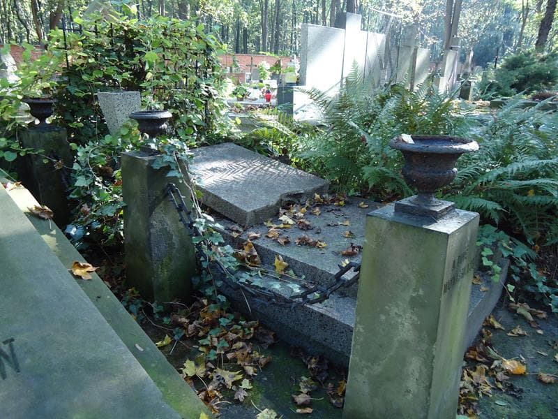 Zdjęcie grobu Halina Lewandowska (1)