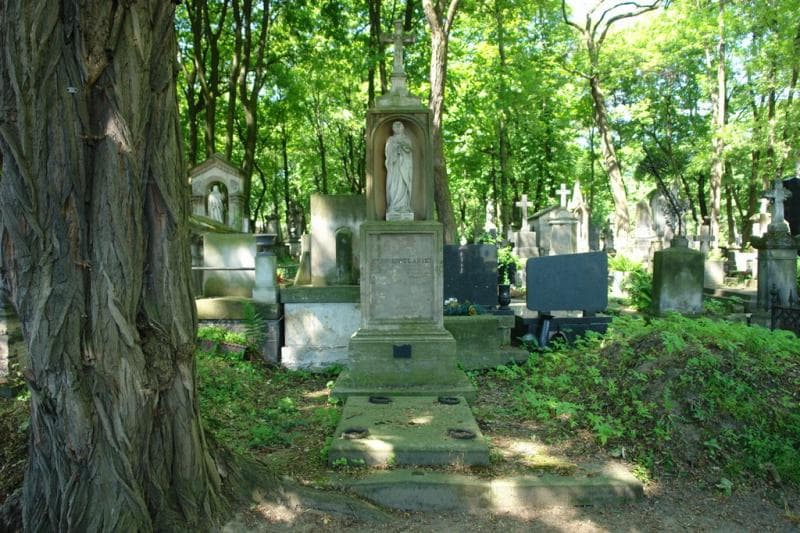 Zdjęcie grobu Karol Kobylański (1)