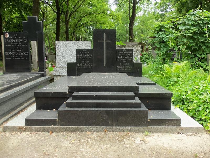 Zdjęcie grobu: Stanisław Malewicz