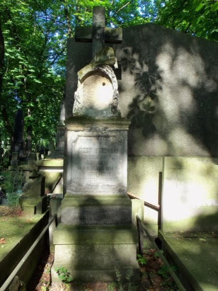 Zdjęcie grobu Florentyna Brzowska (2)