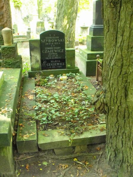 Zdjęcie grobu: Edward Cezary Czajewicz