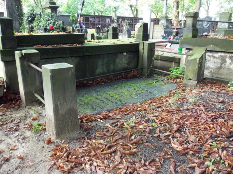 Zdjęcie grobu Aleksander Halmel (1)
