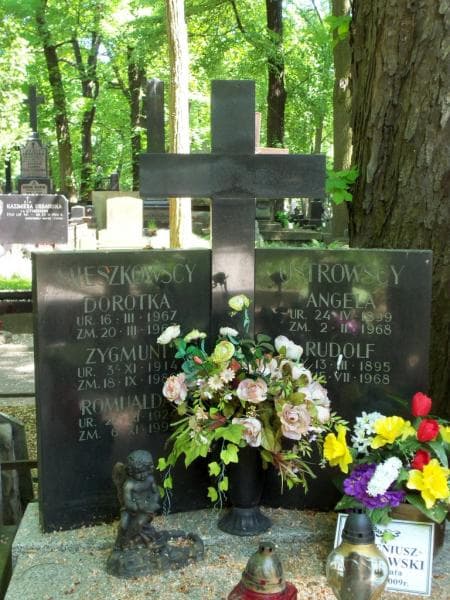 Zdjęcie grobu Romualda Mieszkowska (2)