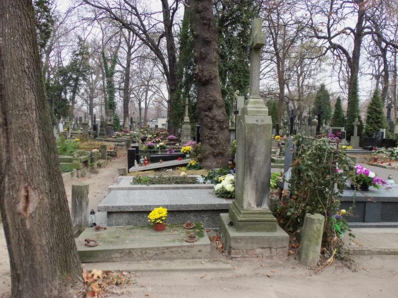 Zdjęcie grobu Włodzimierz Aleksiejew (1)