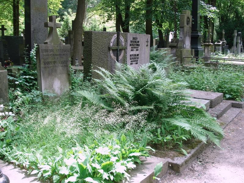 Zdjęcie grobu: Teodozjusz Szczepański