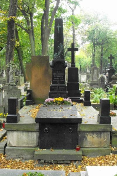 Zdjęcie grobu: Aniela Budny