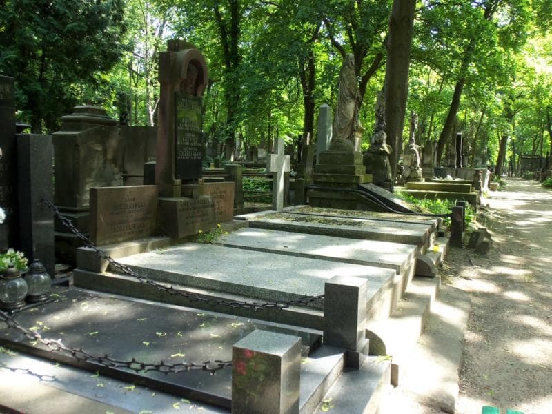 Zdjęcie grobu Leon Szczeciński (1)