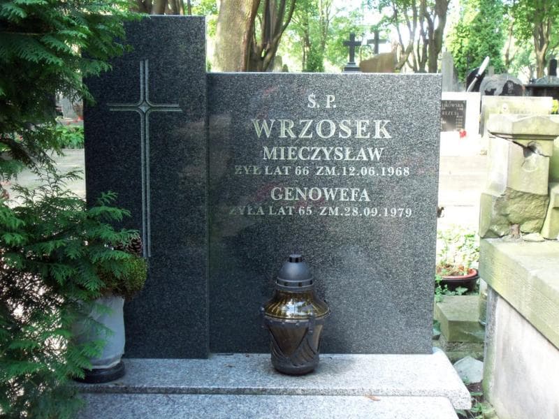 Zdjęcie grobu Genowefa Wrzosek (1)