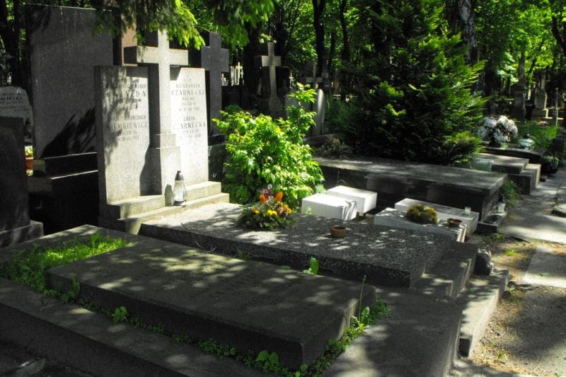 Zdjęcie grobu Zofia Czarnecka (1)