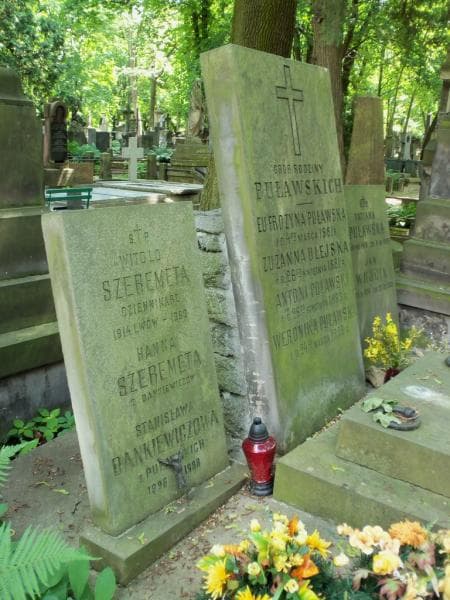 Zdjęcie grobu Jan Wujcik (2)