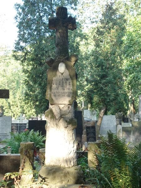 Zdjęcie grobu Tadeusz Emil Lasiuk (2)