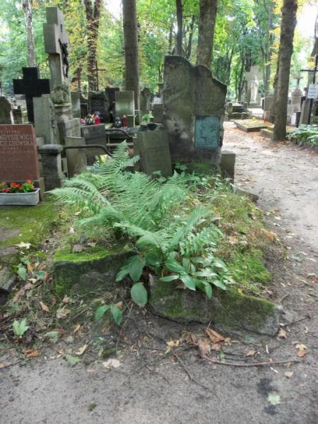 Zdjęcie grobu: Mieczysław Nowicki