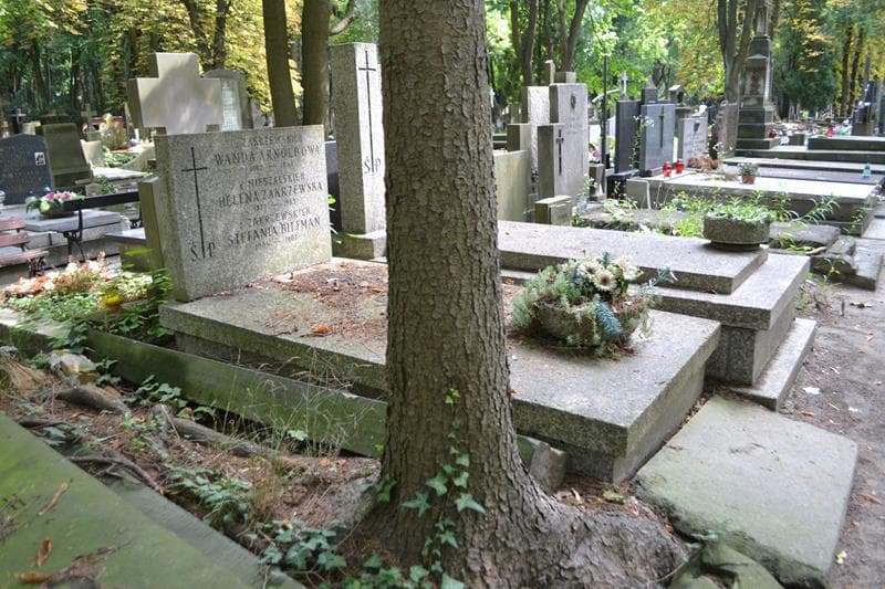 Zdjęcie grobu: Wanda Arnoldowa