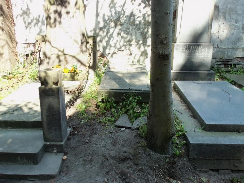 Zdjęcie grobu: Franciszka Obrębska