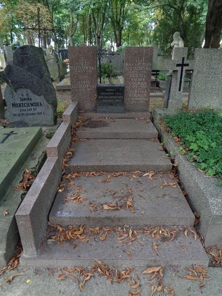 Zdjęcie grobu Alfred Idzikowski (1)
