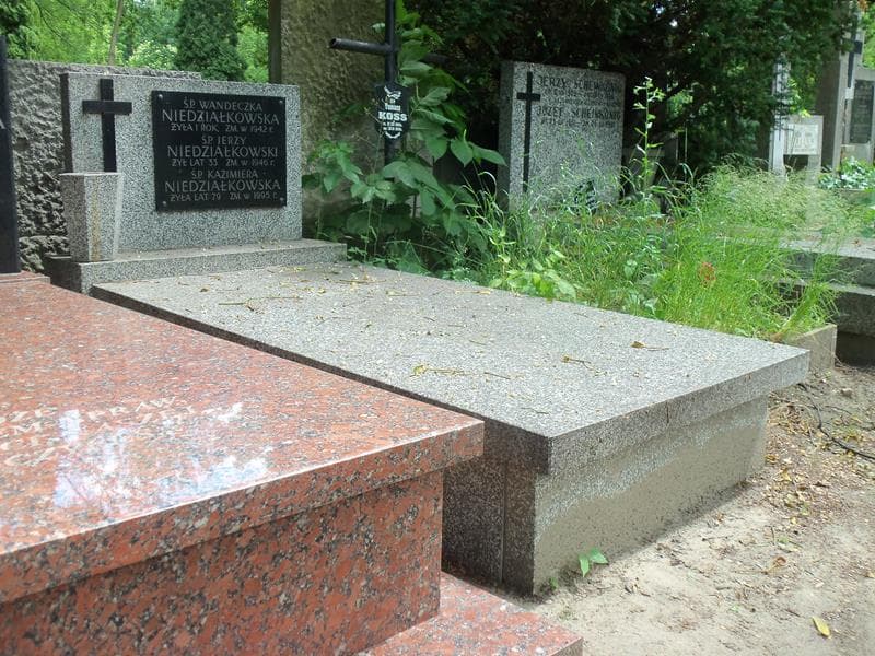 Zdjęcie grobu Kazimiera Niedziałkowska (1)