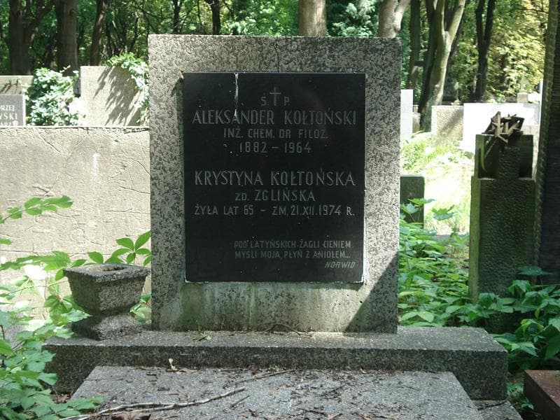 Zdjęcie grobu Aleksander Kołtoński (1)