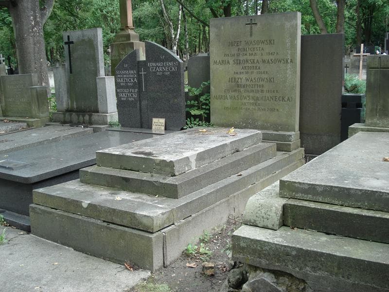 Zdjęcie grobu Józef Wasowski (1)