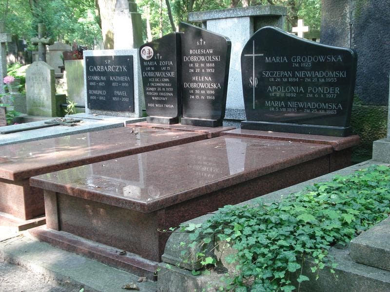 Zdjęcie grobu Apolonia Ponder (1)