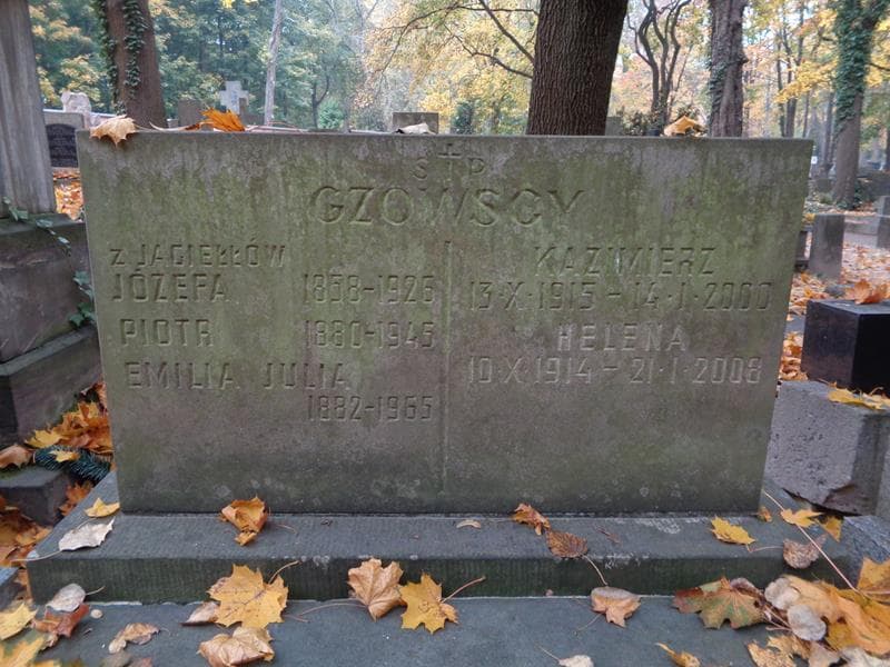 Zdjęcie grobu Piotr Gzowski (2)