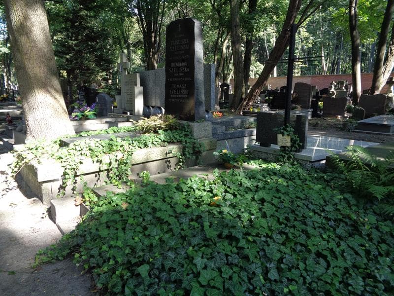 Zdjęcie grobu: Helena Narbutt - Zembrzuska