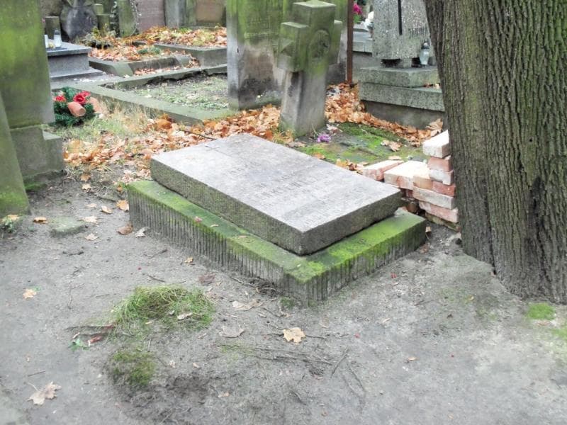 Zdjęcie grobu Albin Lenkiewicz (1)