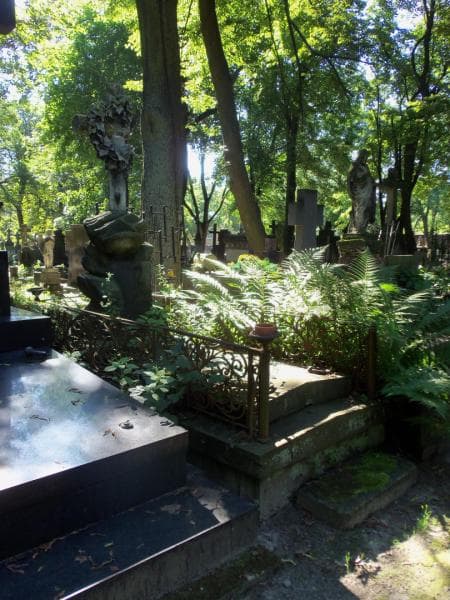 Zdjęcie grobu Antoni Węgleński (1)