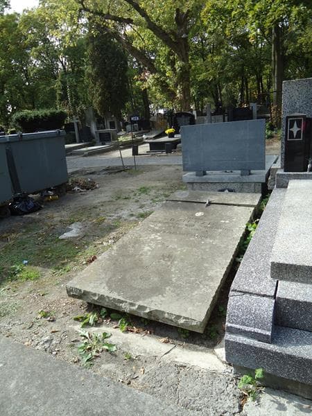 Zdjęcie grobu Maria Dziedzic (1)