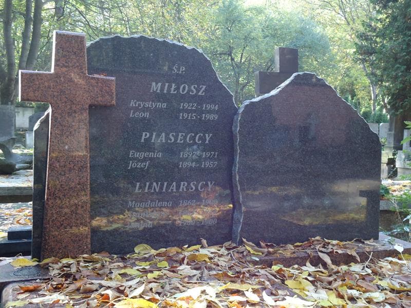 Zdjęcie grobu Eugenia Piasecka (2)