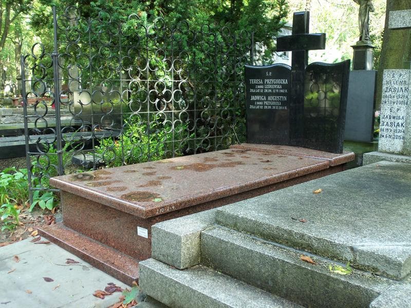 Zdjęcie grobu Jadwiga Augustyn (1)